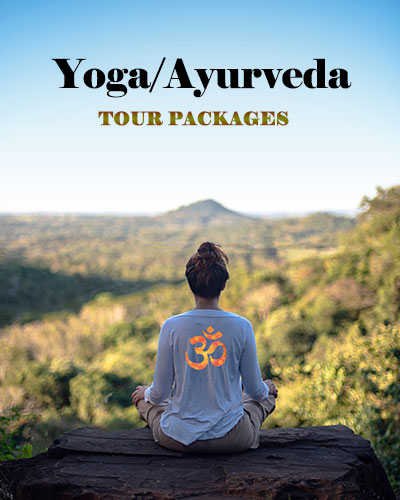 ヨガ/アーユルヴェーダ