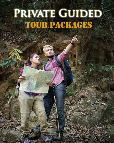 プライベートガイド付きツアー